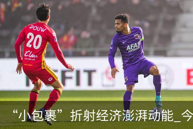 “小包裹”折射经济澎湃动能 今年前8个月邮政行业寄递业务量稳步攀升